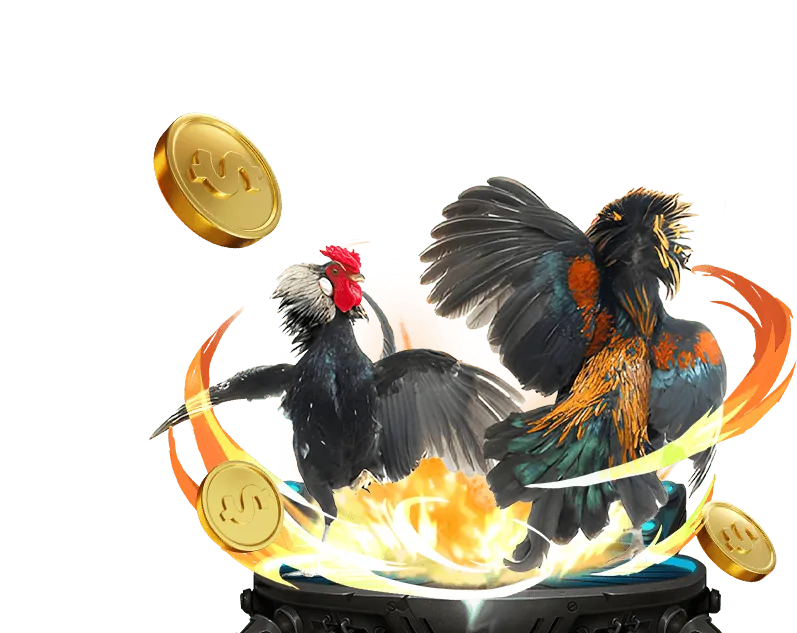 Hướng dẫn xem tt Đá Gà Thomo trực tiếp