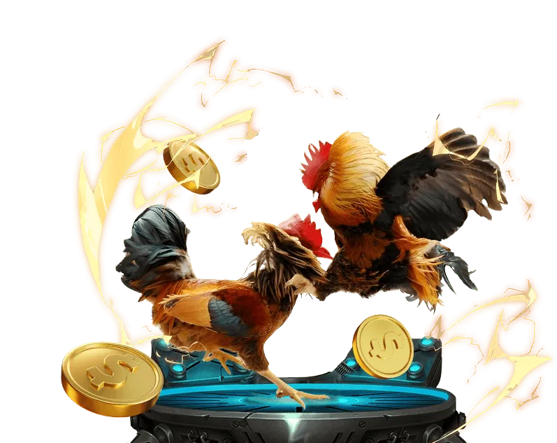 Người chơi đang phân tích thông tin về gà chiến và lịch sử thi đấu, thể hiện quá trình phân tích trước trận đấu đá gà Thomo